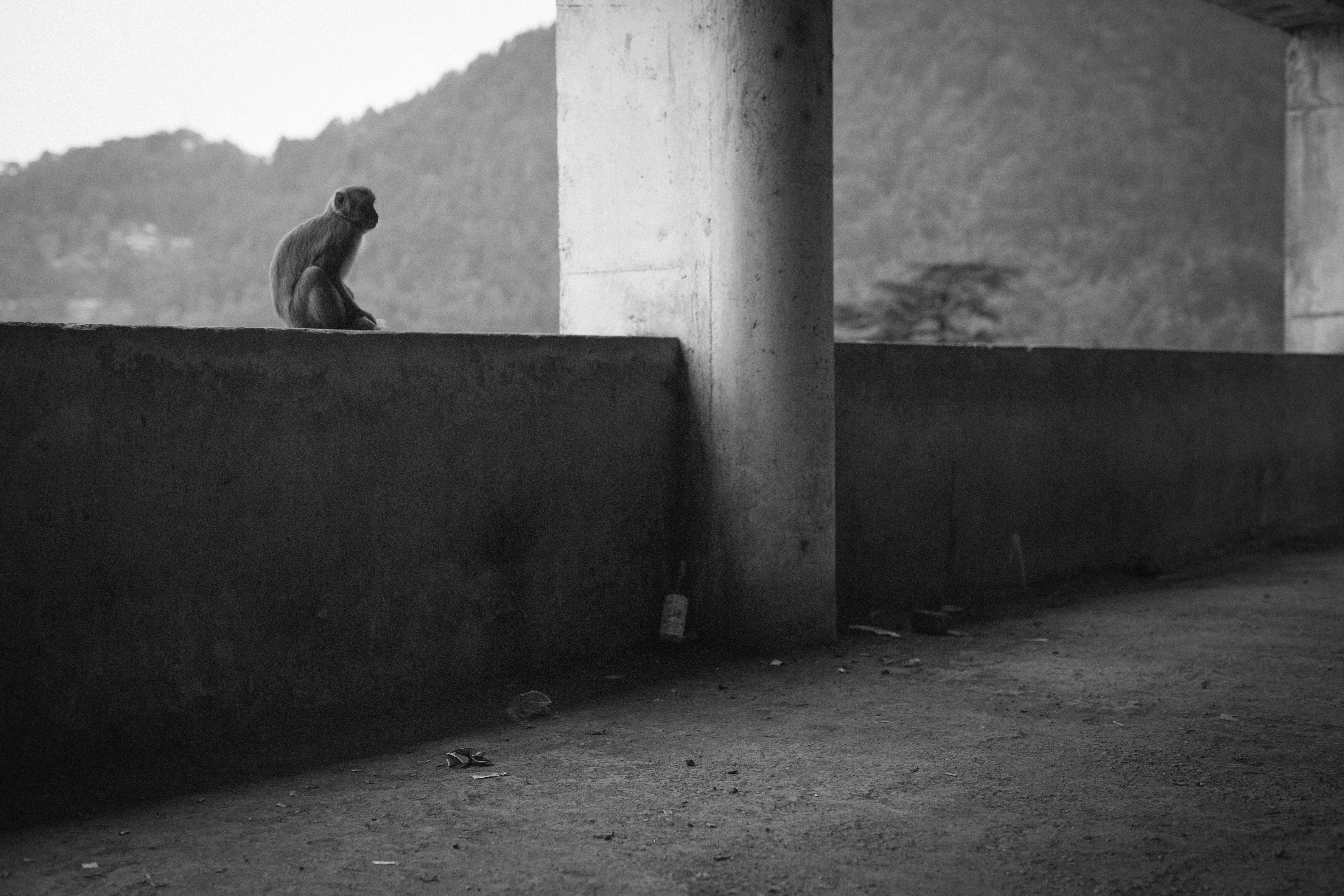 grayscale photo of woman sitting on concrete wall